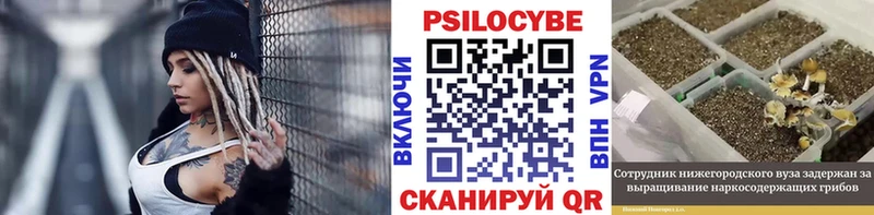 Галлюциногенные грибы Psilocybe  даркнет сайт  Советский 
